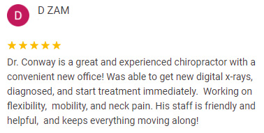 Chiropractic Mesa AZ DzamTestimonial